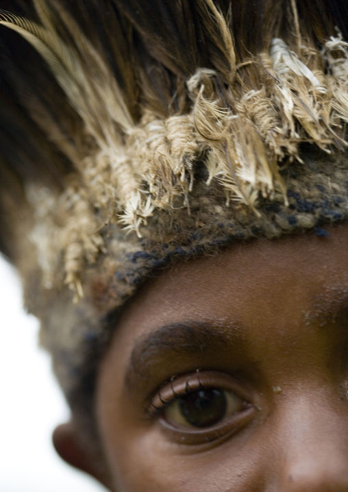 Chimbu tribe boy with a feathers headwear during a Sing-sing ceremony, Western Highlands Province, Mount Hagen, Papua New Guinea