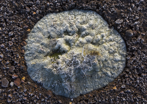 Frozen Ground, Cuzco Area, Peru