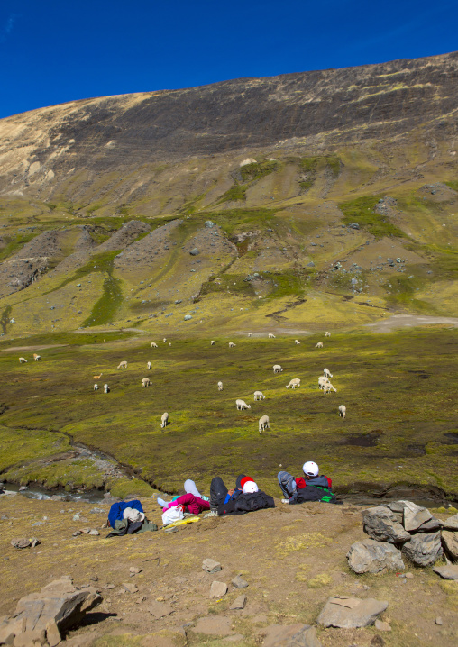 Tourists Watching Lamas, Qoyllur Riti Festival, Ocongate Cuzco, Peru