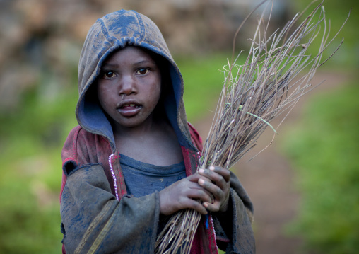 Rwandan boy collecting wood in the countryside, Lake Kivu, Ibwiwachu, Rwanda