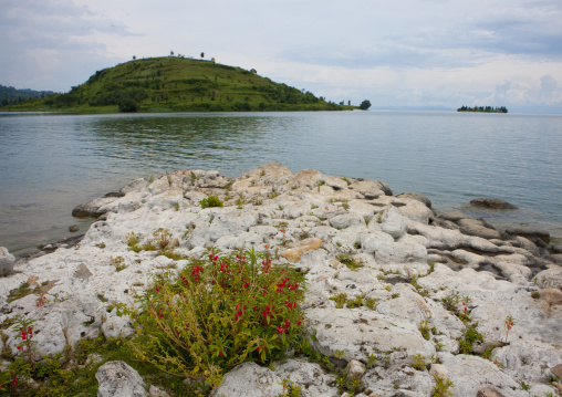 Brasserie area, Lake Kivu, Gisenye, Rwanda