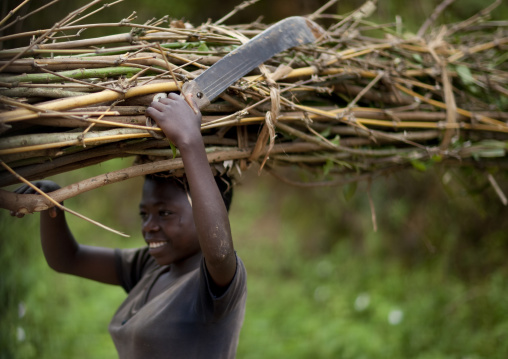 Batwa tribe woman carrying wood on her head, Western Province, Cyamudongo, Rwanda