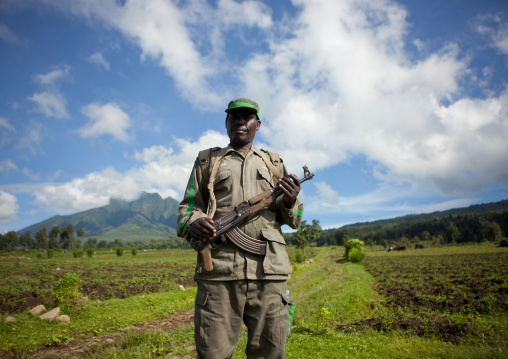 Guide with weapon in volcanoes national park, Northwest Province, Rehengeri, Rwanda