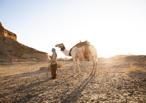 Saudi man with a decorated camel in Madain Saleh, Al Madinah Province, Alula, Saudi Arabia