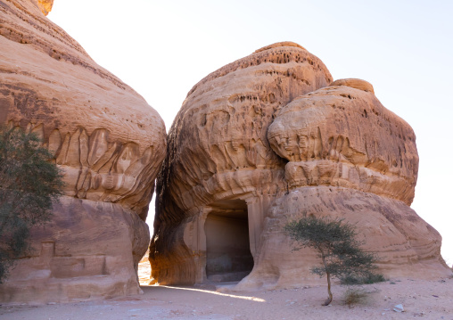 Siq of al-Diwan in jebel Ithlib, Al Madinah Province, Alula, Saudi Arabia