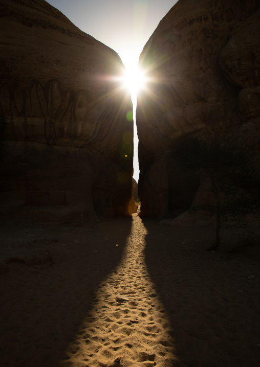 Siq of al-Diwan in jebel Ithlib, Al Madinah Province, Alula, Saudi Arabia