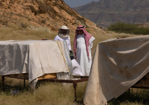 Saudi beekeepers working in the beehives, Jizan province, Addarb, Saudi Arabia