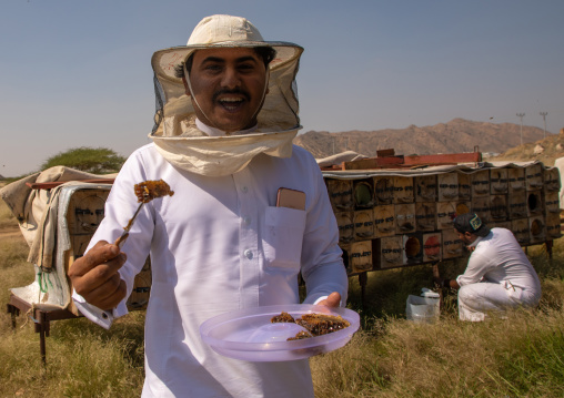 Saudi beekeeper working in the beehives, Jizan province, Addarb, Saudi Arabia