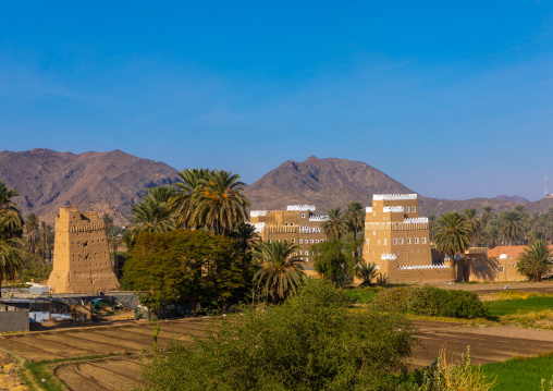 Traditional old mud house in the middle of plam trees, Najran Province, Najran, Saudi Arabia