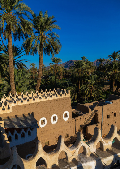 Old mud house in the middle of palm trees, Najran Province, Najran, Saudi Arabia