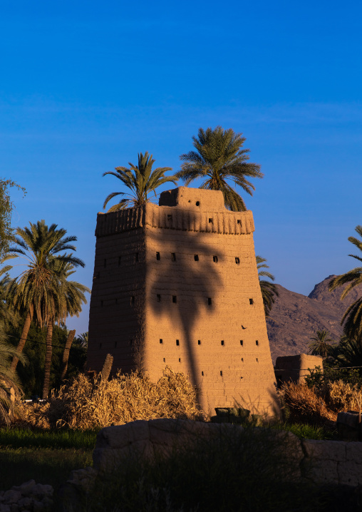 Traditional old multi-storey mud house, Najran Province, Najran, Saudi Arabia