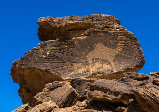 Life-sized camel petroglyph on a rock, Najran Province, Thar, Saudi Arabia