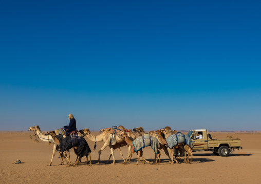 Training for camel racing in the Rub' al Khali empty quarter desert, Najran province, Hubuna, Saudi Arabia