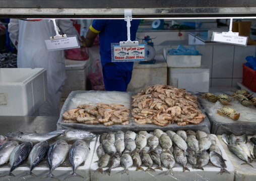 Market stall in the fish market, Mecca province, Jeddah, Saudi Arabia