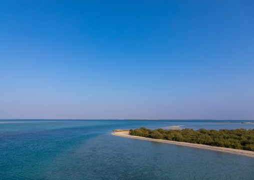 Empty beach with mangrove, Red Sea, Farasan, Saudi Arabia