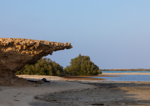 Coral rock on an empty beach, Red Sea, Farasan, Saudi Arabia