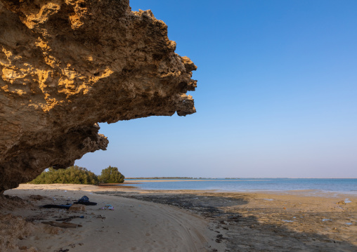 Coral rock on an empty beach, Red Sea, Farasan, Saudi Arabia