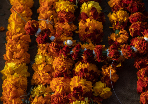 Floral garlands and crowns for sale on a market, Jizan Province, Mahalah, Saudi Arabia