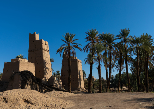 Traditional old mud houses in an oasis, Najran Province, Najran, Saudi Arabia