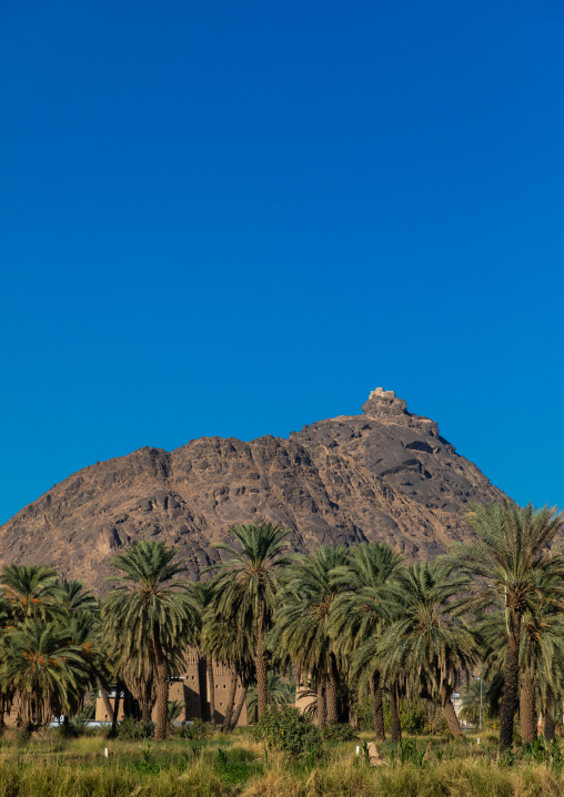 Old village of traditional mud houses, Najran Province, Najran, Saudi Arabia