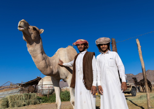 Saudi men in the camel market, Najran Province, Najran, Saudi Arabia