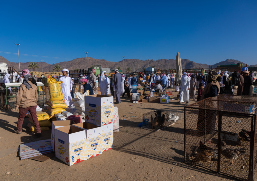 Saudi people in the bird and poultry market, Najran Province, Najran, Saudi Arabia