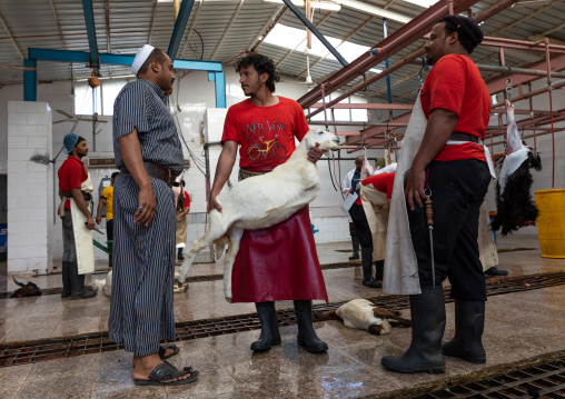 Butchers working at slaughterhouse, Najran Province, Najran, Saudi Arabia