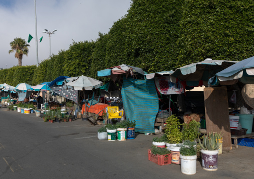 Women market, Asir province, Abha, Saudi Arabia