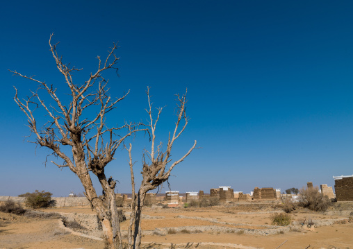 Traditional clay and silt homes in a village, Asir Province, Al Osran, Saudi Arabia