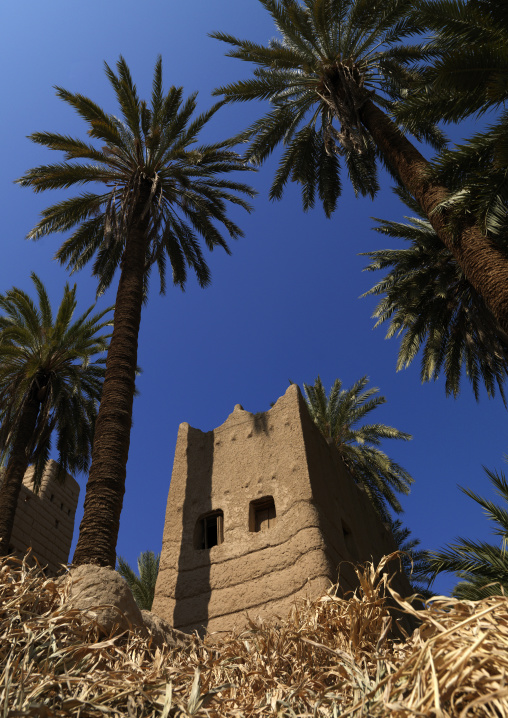 Traditional old multi-storey mud house, Najran Province, Najran, Saudi Arabia