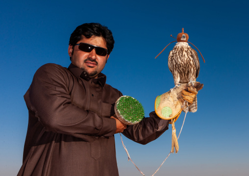 Saudi man with falcon perching on hand, Al-Jawf Province, Sakaka, Saudi Arabia