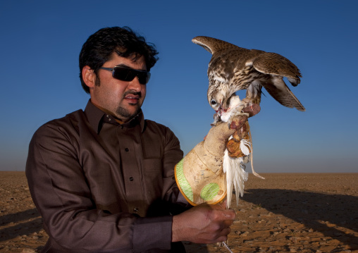 Falconry in the desert, Al-Jawf Province, Sakaka, Saudi Arabia