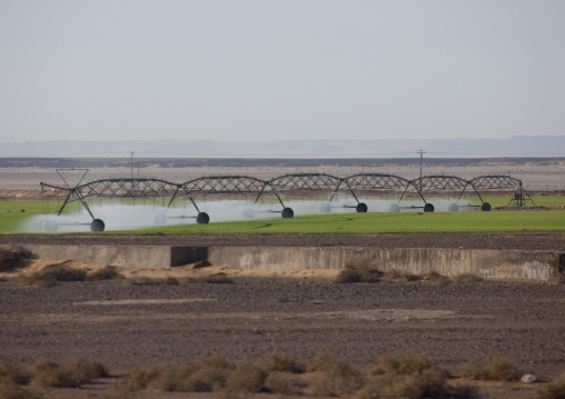 Agriculture in the desert, Al-Jawf Province, Sakaka, Saudi Arabia