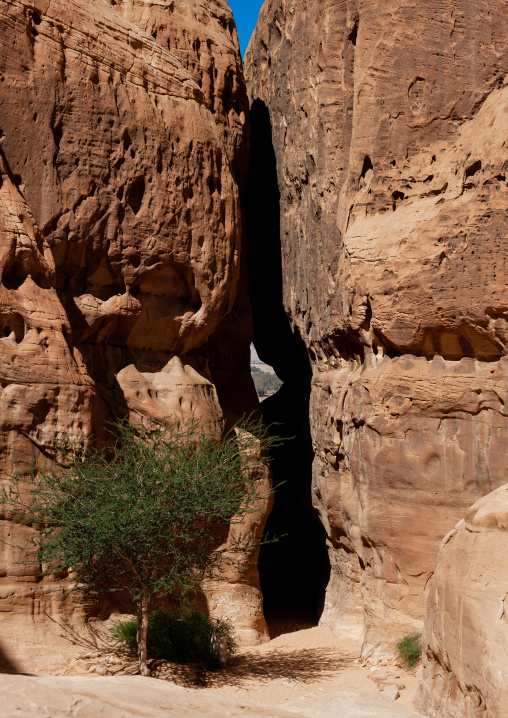 Madain saleh archaeologic site, Al Madinah Province, Al-Ula, Saudi Arabia