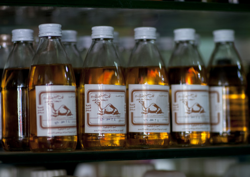 Camel oil, Riyadh Province, Riyadh, Saudi Arabia