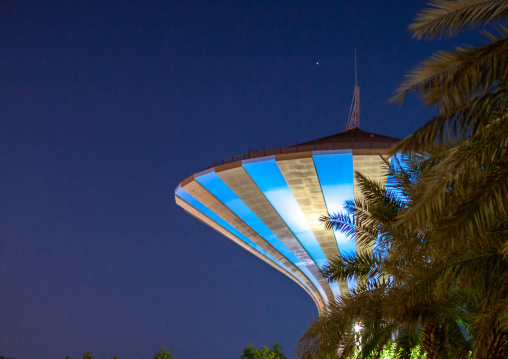 Water tower on king saud road, Riyadh Province, Riyadh, Saudi Arabia