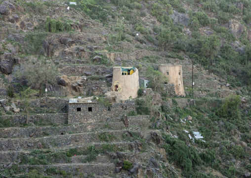 Terraces in the mountains, Fifa Mountains, Al-Sarawat, Saudi Arabia