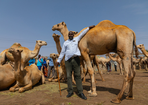 Somali man in the camel market, Woqooyi Galbeed region, Hargeisa, Somaliland