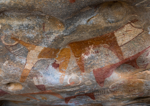 Cave paintings and petroglyphs depicting cows, Woqooyi Galbeed, Laas Geel, Somaliland