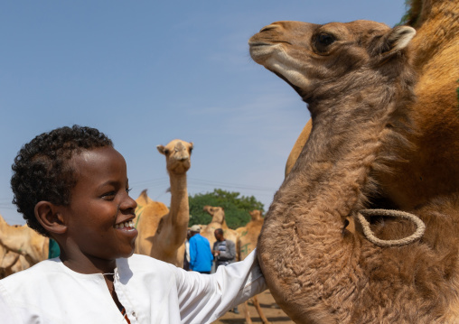 Somali boy in the camel market, Woqooyi Galbeed region, Hargeisa, Somaliland