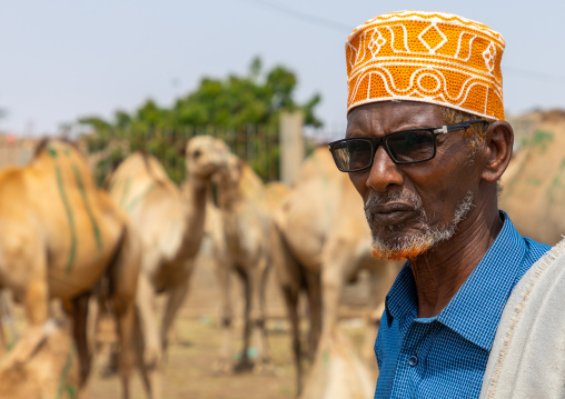 Somali man in the camel market, Woqooyi Galbeed region, Hargeisa, Somaliland