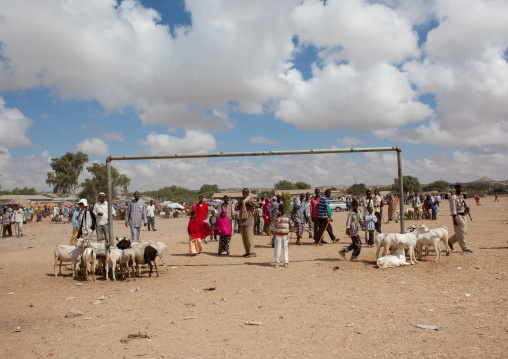 Somali people in the livestock market, Woqooyi Galbeed region, Hargeisa, Somaliland