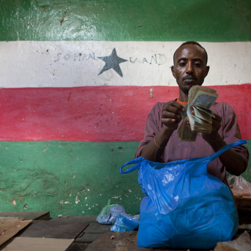 Man Counting Banknotes In Front Of The Somaliland Flag, Hargeisa, Somaliland