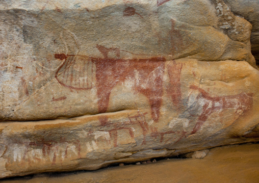 Laas Geel Rock Art Caves, Paintings Depicting Cows, Hargeisa, Somaliland