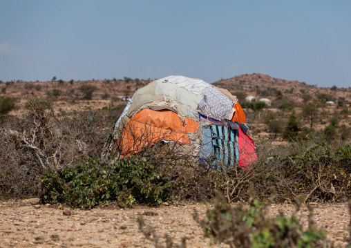 A somali hut called aqal, Woqooyi Galbeed region, Hargeisa, Somaliland