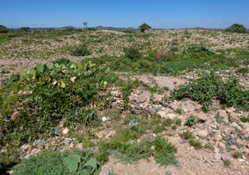 Ruins in sheikh mountains, Togdheer, Sheikh, Somaliland