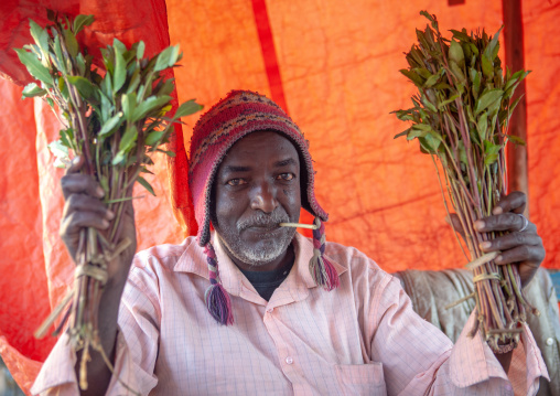 Somali khat seller in the market, Woqooyi Galbeed region, Hargeisa, Somaliland