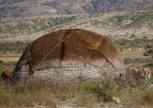 Somali Hut Aqal Soomaali, In The Bush, Somaliland