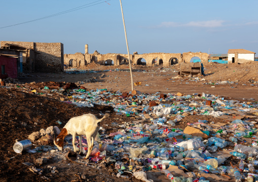 Ruins of the old town after the somalian civil war, Awdal region, Zeila, Somaliland