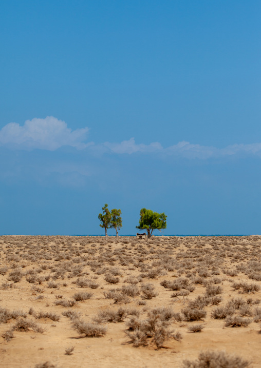 A somali hut called aqal in the desert, Awdal region, Lughaya, Somaliland